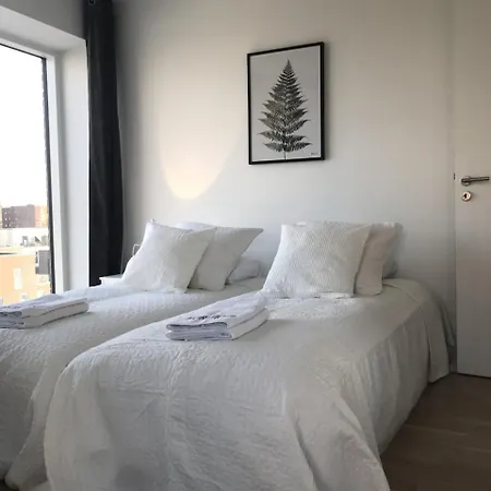 Apartment Great Location And Spacious New 3 Bedroom With Balcony. *